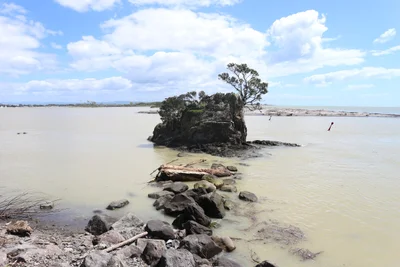 Whakatane - Photo 2