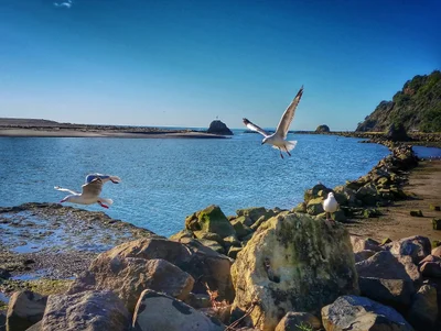 Whakatane - Photo 5