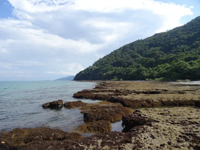 Cape Tribulation - Photo 2