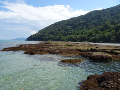 Cape Tribulation - Photo 3