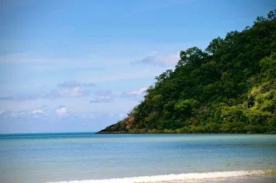 Cape Tribulation - Photo 4