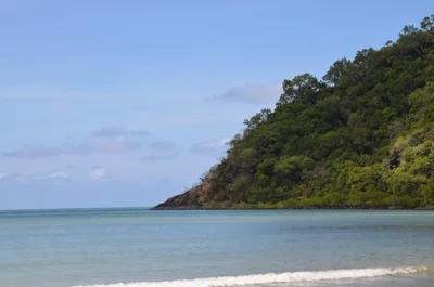 Cape Tribulation - Photo 5