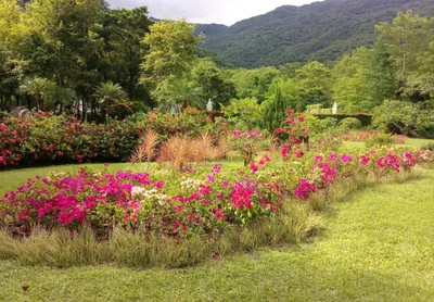 Wanrong - Photo 4