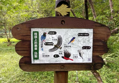Wanrong - Photo 5