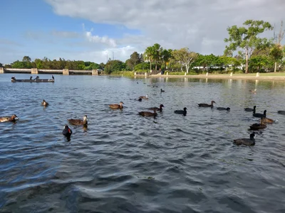 North Lakes - Photo 2