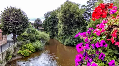 Shropshire - Photo 4