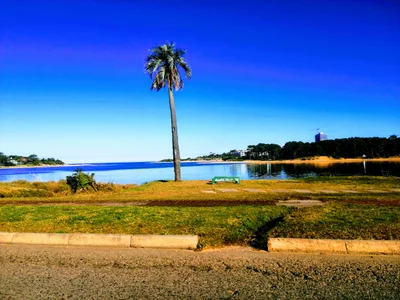 Jose Ignacio - Photo 2