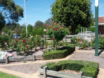 Manjimup - Photo 3