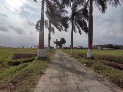 Central Java - Photo 3