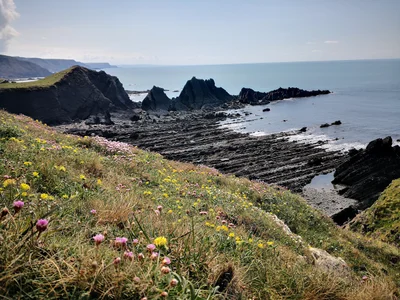 Devon - Photo 2