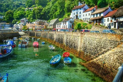 Devon - Photo 4