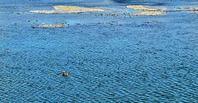 Jinzhou - Photo 4