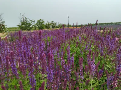 Mombetsu - Photo 3
