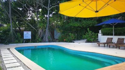 Mele - Photo 2