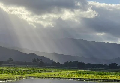 Kauai - Photo 5