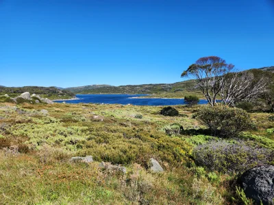 Alpine National Park - Photo 4