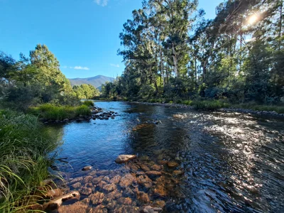 Alpine National Park - Photo 5