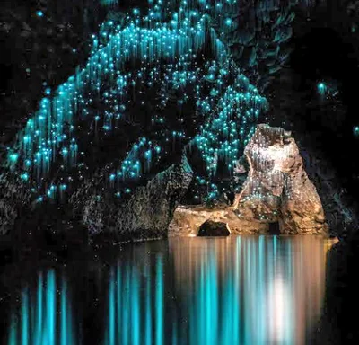 Waitomo Caves - Photo 5