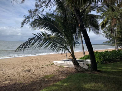 Palm Cove - Photo 3