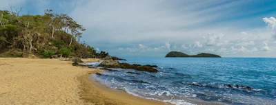Palm Cove - Photo 5