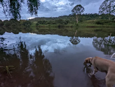 Lismore - Photo 3