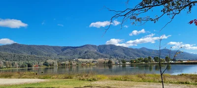 Mount Beauty - Photo 2