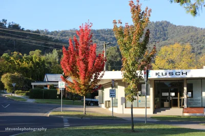 Mount Beauty - Photo 5