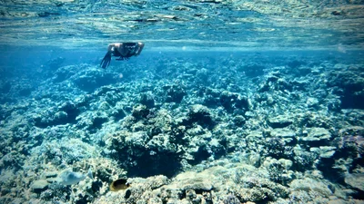 Marsa Alam - Photo 3