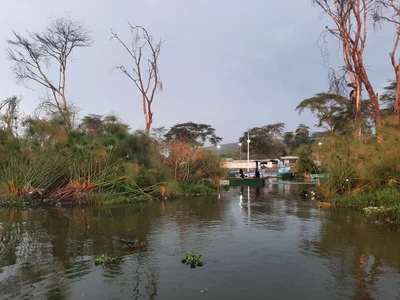 Naivasha - Photo 2