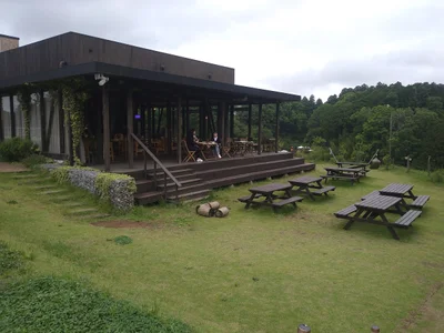 Katori - Photo 5