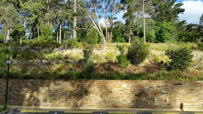 Hepburn Springs - Photo 4