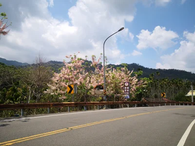 Guoxing Township - Photo 3