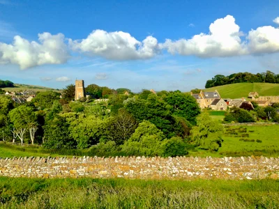 Dorset - Photo 5