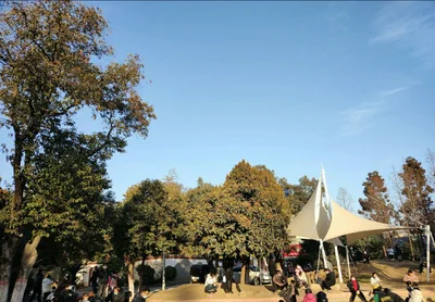 Nanyang - Photo 3