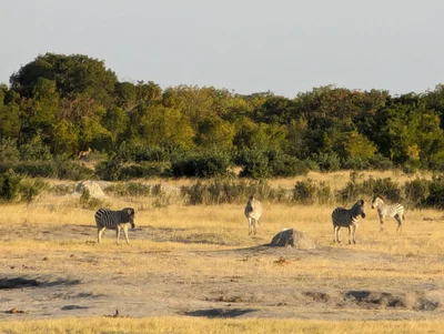 Hwange National Park - Photo 2