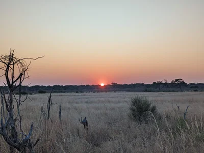 Hwange National Park - Photo 3