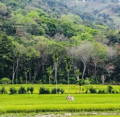 Monaragala - Photo 5