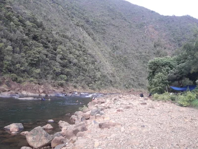 Dumbea - Photo 2