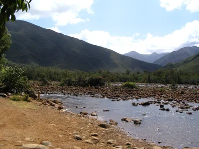 Dumbea - Photo 5