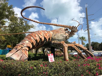 Florida Keys - Photo 4