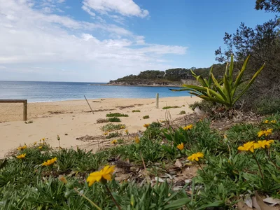 Pearl Beach - Photo 4