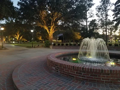 Coastal South Carolina - Photo 2