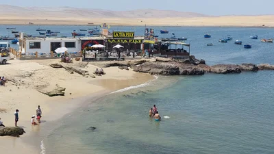 Paracas - Photo 5