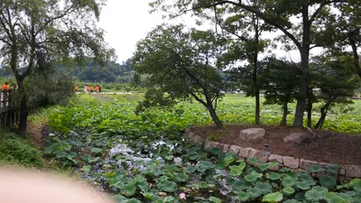 Cheongdo-gun - Photo 2