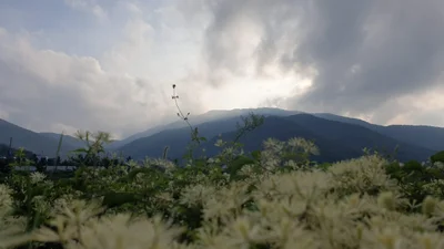 Cheongdo-gun - Photo 3