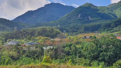 Cheongdo-gun - Photo 4
