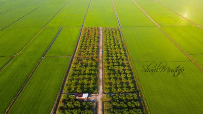 Langkap - Photo 2