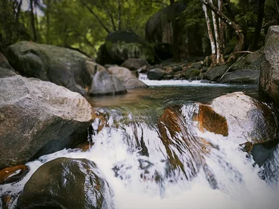 Nilambur - Photo 3