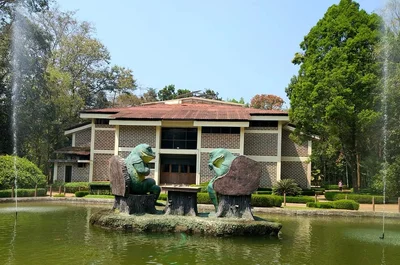 Nilambur - Photo 5