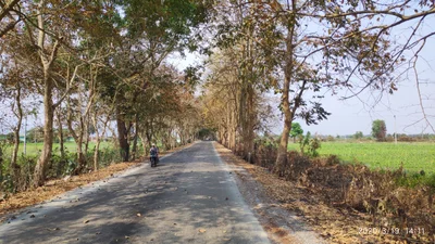Mohnyin Township - Photo 4
